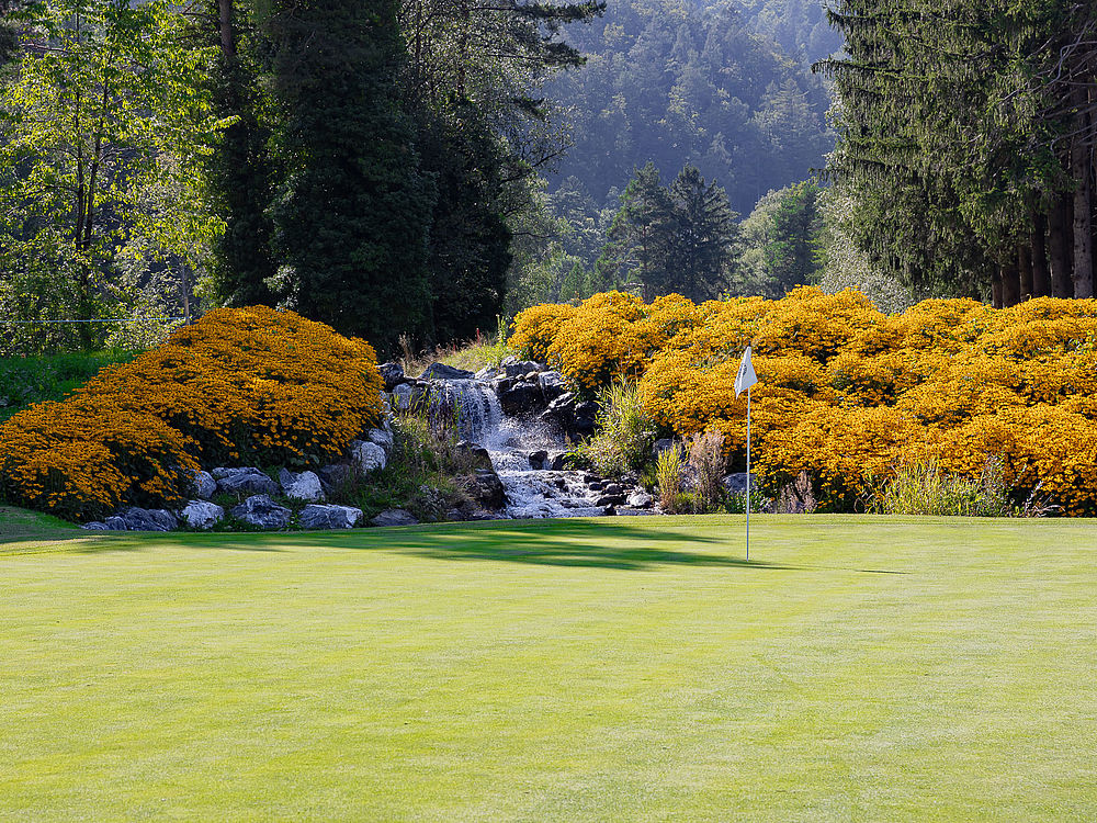 A scene on Green 11 with bright orange flowers, green bushes and a small waterfall cascading over rocks, against a forest background and a clear blue sky.
