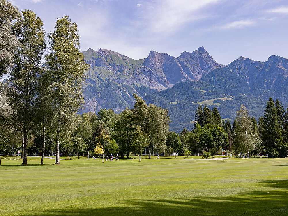 Eine Parklandschaft mit grünem Gras und hohen Bäumen unter einem klaren blauen Himmel. Im Hintergrund erheben sich majestätisch zerklüftete Berge, die eine heitere Szenerie schaffen.
